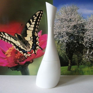 C-Thru Pearl Garden / C-Thru Lovely Garden - Sarantis