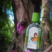 Im Zauberwald mit Märchenblumen - Vorderseite (von CharlAmbre)