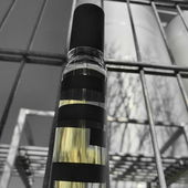 PARADOX (by Seejungfrau)