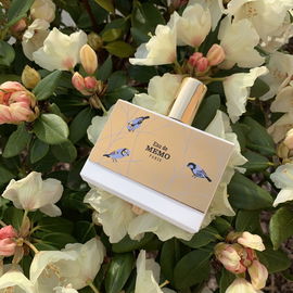 Eau de Memo - Memo Paris