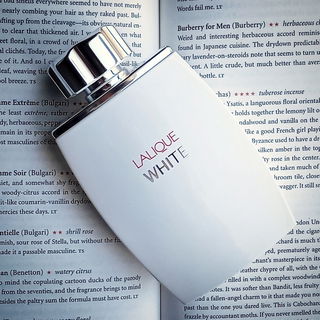 Dolce & Gabbana pour Homme (1994) (Eau de Toilette) - Dolce & Gabbana