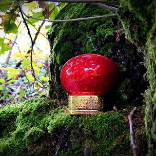 Ruby Red / Red Storm - The House of Oud