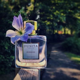Splendiris - Dusita