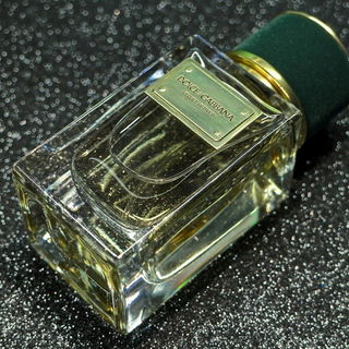 Velvet Vetiver - Dolce & Gabbana