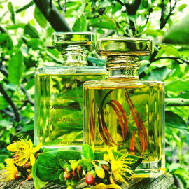 2. Nawab of Oudh Parfum - Ormonde Jayne