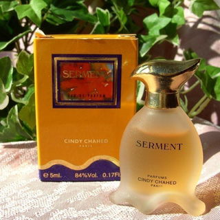 Serment von Cindy Chahed