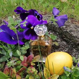 Miss Dior (2017) (Eau de Parfum) - Dior