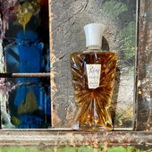 Träumt von der weiten Welt (von Flakon11e)