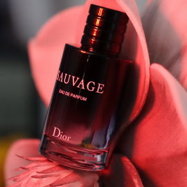 Craze (Eau de Parfum) - Armaf