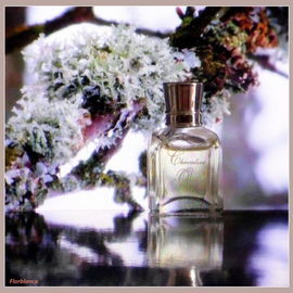Chevalier d'Orsay (Eau de Toilette) - d'Orsay