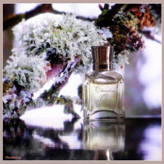 Chevalier d'Orsay (Eau de Toilette) - d'Orsay