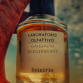 Nur Illusion ( °-°)シ ミ★ ミ☆ (von Seejungfrau)