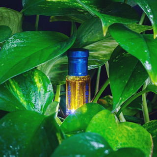 Al Dar Blend by Abdul Samad Al Qurashi / عبدالصمد القرشي