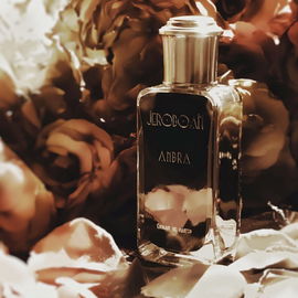 Ambra - Jeroboam