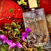 eine kleine herbstbühne 🌿🍁🍂 - herzlichen dank an alle! ich wünsche euch eine gemütliche zeit 🪔 (by Krapnek)