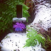 Hört ihr das? - NICHTS. Diese wunderschöne Stille im Winterwald. Lieben Dank für eure Begleitung. LG Gabi (von Gandix)