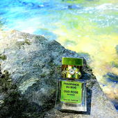 Eiskalter Bach mitten im Wald. Traumhafter Ort! (by MonAmour)