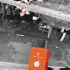 Orange Flamingo - Marc Gebauer
