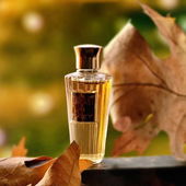 .... Herbst - - der Maler der gediegenen Farben ...... (von IrisNobile)