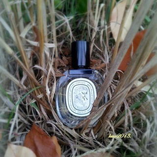Volutes (Eau de Toilette) - Diptyque