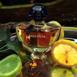 Shalimar Ode à la Vanille - Sur la route du Mexique - Guerlain