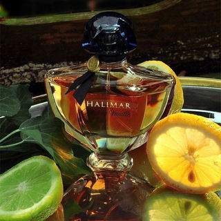 Shalimar Ode à la Vanille - Sur la route du Mexique - Guerlain