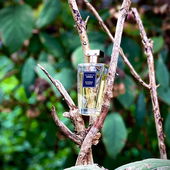 …📷🌍 Thank you. Danke schön. Merci beaucoup. Muchas gracias. Dōmo arigatō gozaimasu 💐… (von Kokusai)