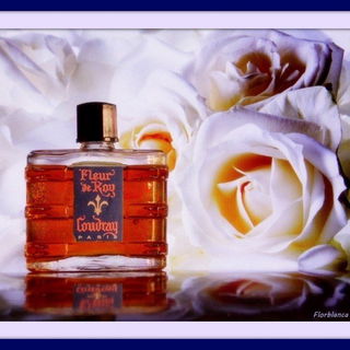 Fleur de Roy - E. Coudray