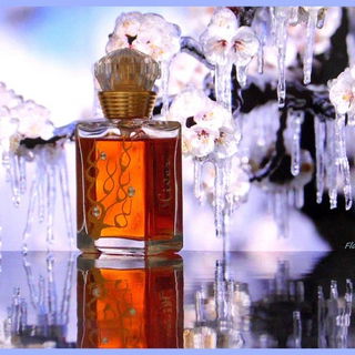 Les 4 Saisons - Hiver - M. Micallef