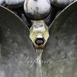 Teint de Neige (Eau de Toilette) by Lorenzo Villoresi