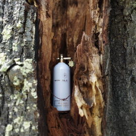 Nepal Aoud - Montale