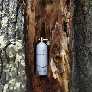 Nepal Aoud - Montale
