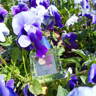 Collection Excessive - I miss Violet - The Different Company