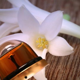 Edelste feinste hypnotisch milchige Tuberose, der Star zu Fragile Eau de Parfum.