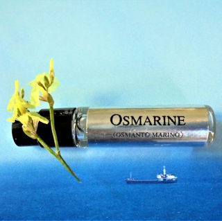 Living in the Osmarine
