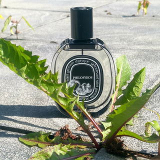 Philosykos (Eau de Parfum) von Diptyque