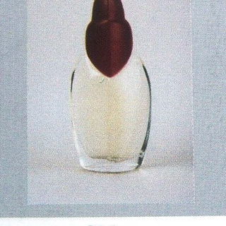 Divina (Parfum de Toilette) - Diana de Silva