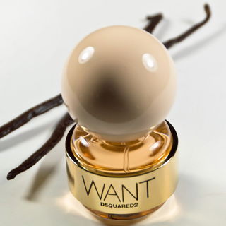 Want von Dsquared²