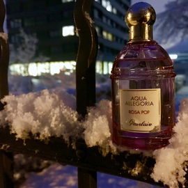 Plumen-Puder im Puder-Schnee