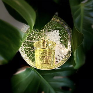 Yellow Diamond Intense von Versace