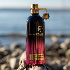 Nice Bergamote - Essential Parfums