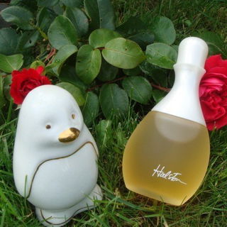 Halston Sheer - Halston