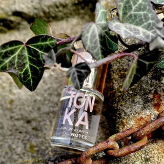 Tonka (Eau de Parfum)