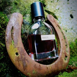 Wakening Woods of Scandinavia - 4711