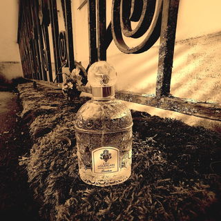 Eau de Guerlain - Guerlain