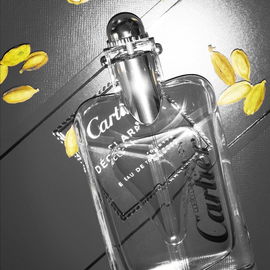 Déclaration (Eau de Toilette) - Cartier