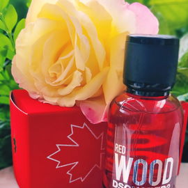 Red Wood - Dsquared²