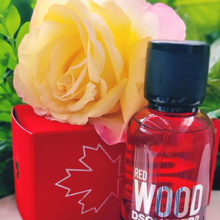 Red Wood - Dsquared²