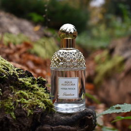 La Petite Robe Noire Ma Robe Pétales - Guerlain