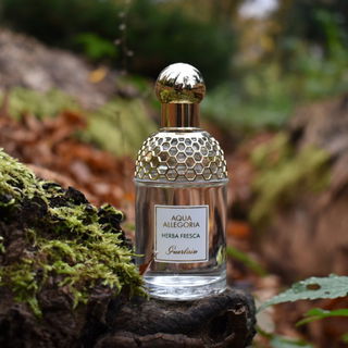 Individuel (Eau de Toilette) - Montblanc